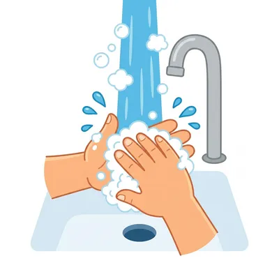 Wash Hands
